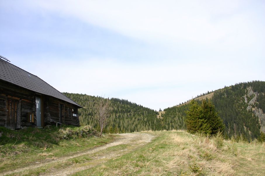 Sucheinsatz auf der Fensteralm